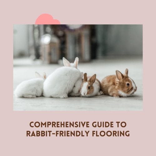 Guide to Rabbit-Friendly Flooring