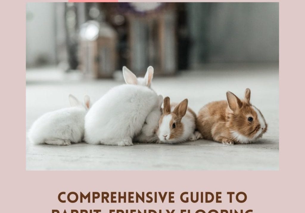Guide to Rabbit-Friendly Flooring